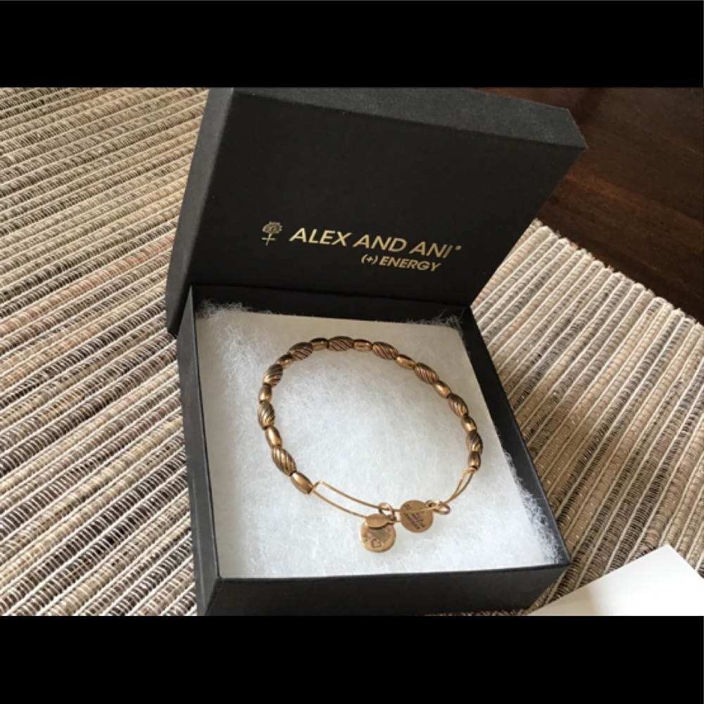 Alex and Ani (+) ENERGY Bracelet